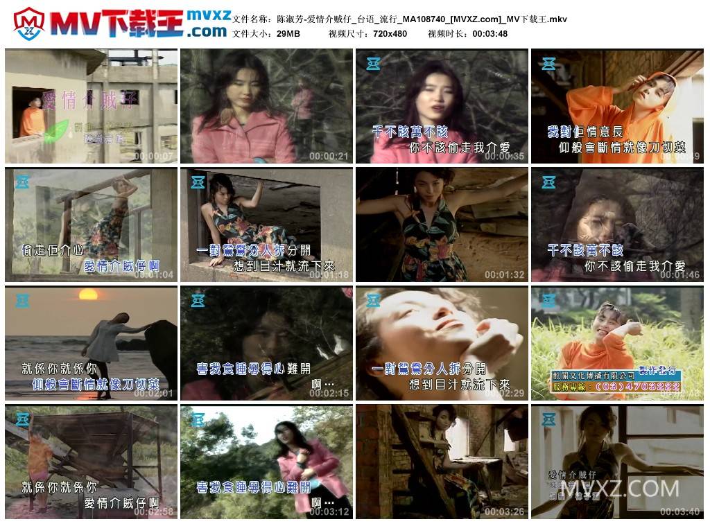 陈淑芳-爱情介贼仔_台语_流行_MA108740